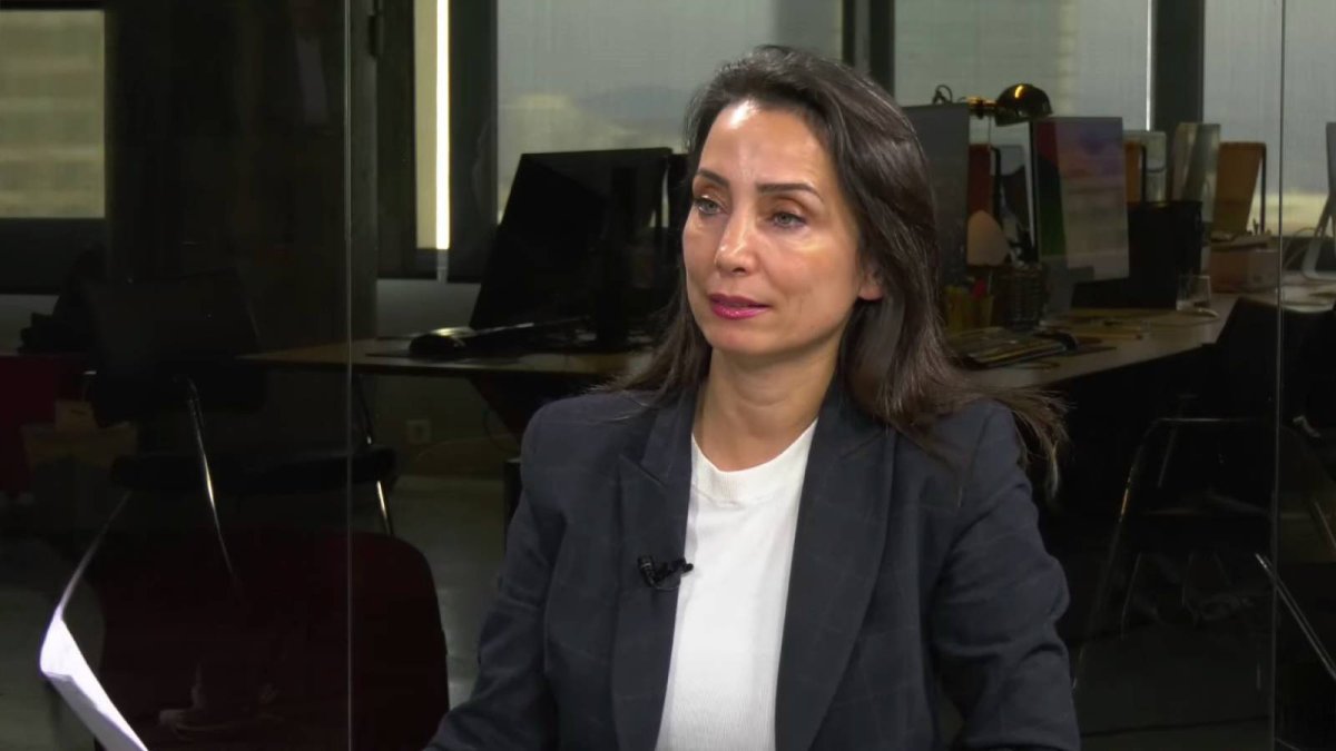 Hatimoğulları’ndan çözüm süreci açıklaması: Muhatap devlettir, CHP mutlaka süreçte olmalı