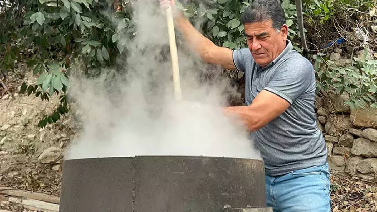 Hiçbir emek istemiyor, ormanda kendiliğinden yetişiyor! Kozmetik sektörünün aranan ürünü: Dalından yaprağına kadar şifa...