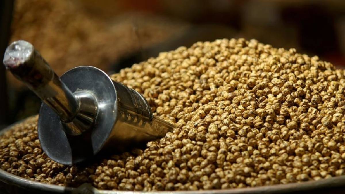 Nohutta rekolte ve kalite düşerken leblebide fiyat fırladı! 150 TL’den 370 TL’ye yükseliş…