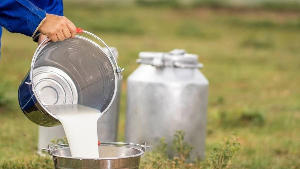 Süt Zirvesi’nde ortak ses: Fiyatlar sektörü zorluyor