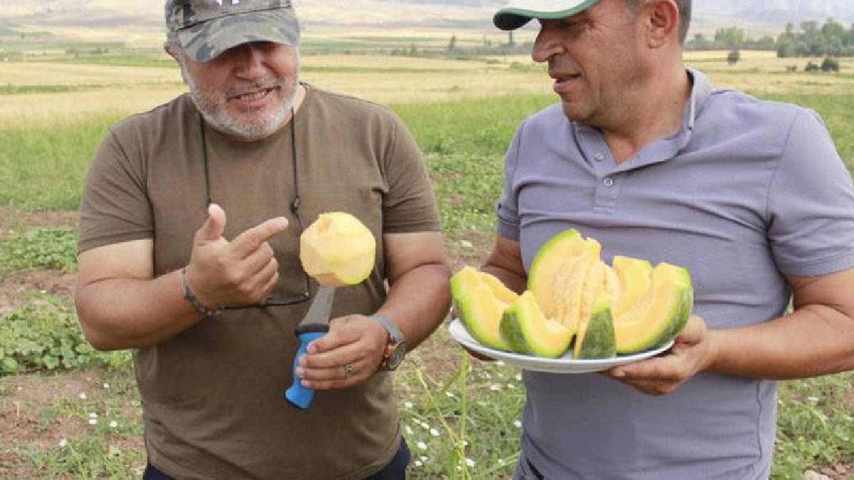 Sadece Yozgat’ta yetişiyor, başka bir yerde bulunmuyor! Kilosu 40 TL’den satılıyor, İstanbul, Manisa, İzmir’e gönderiliyor