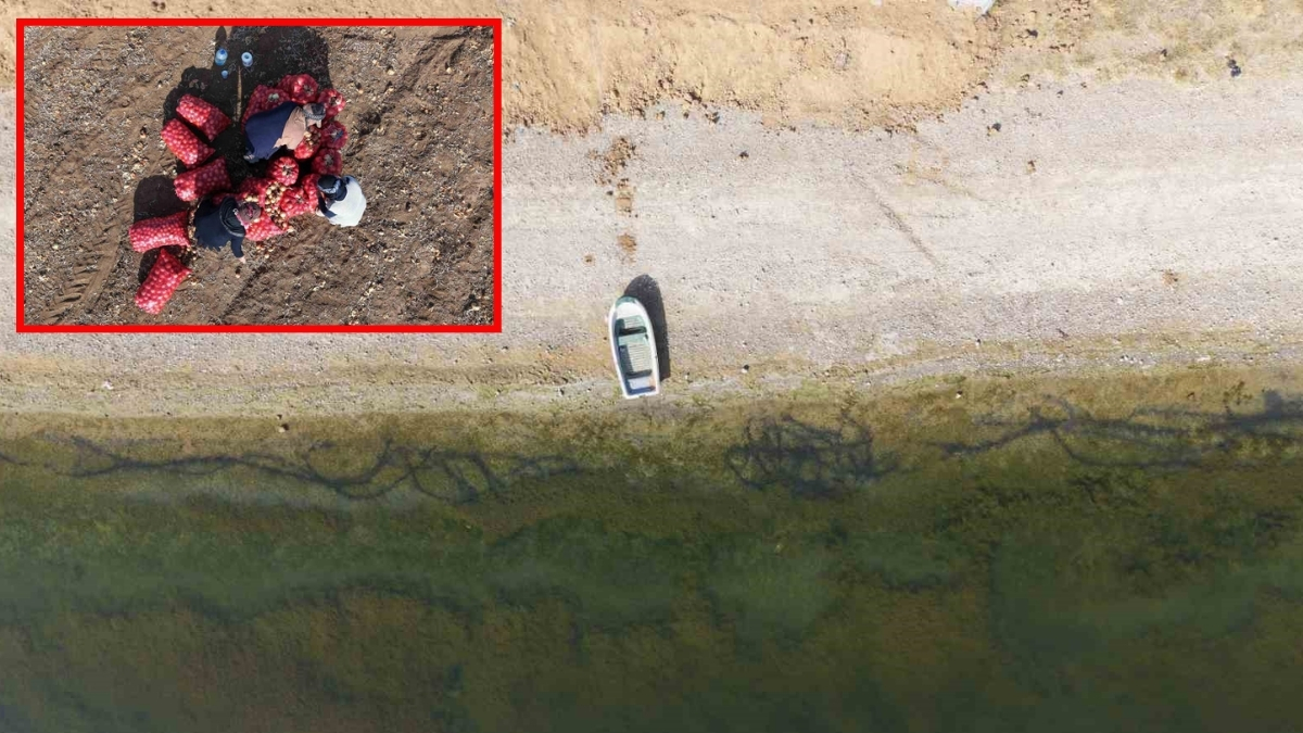 Kuraklık en çok çiftçiyi vurdu! Rekolte düştü, verim azaldı: “Dikkatli kullanmazsak ekmeğimizi kaybederiz”