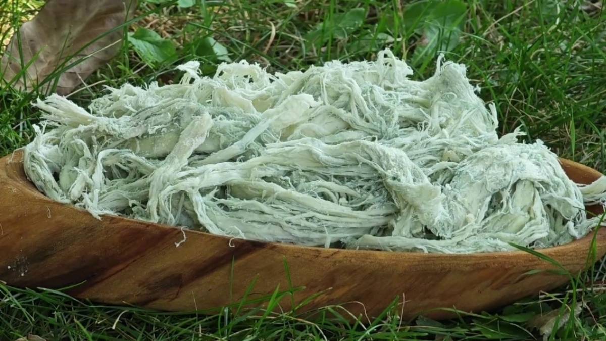 Doğal antibiyotik sofralardaki yerini aldı! Hem Türkiye’de hem de dünya mutfaklarında adından söz ettiriyor: Kilosu 500 lira