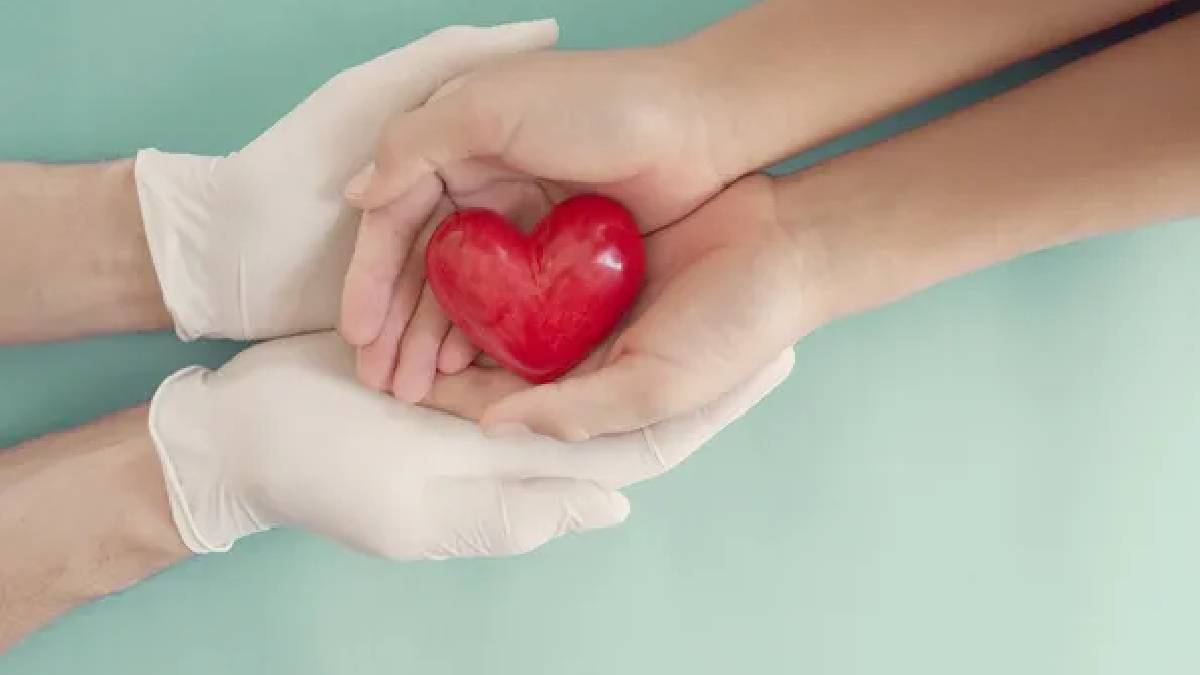 Katılımcıların yüzde 89’u deneyimlerini paylaştı: Organ nakli kişiliği değiştirebiliyor