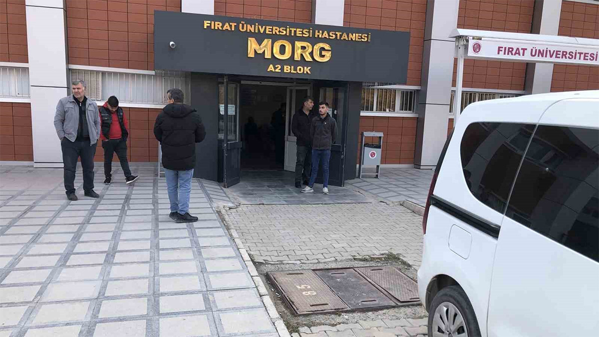 Elazığ'da kadın cinayeti! 3 çocuk annesi kadın, eşi tarafından katledildi