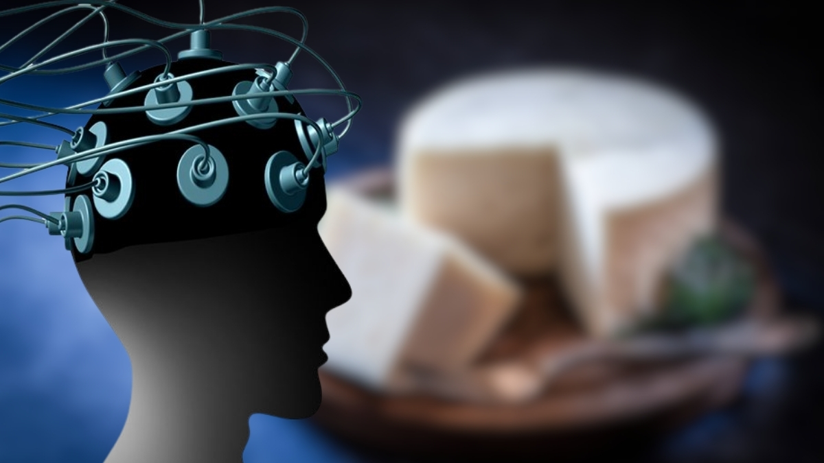 Hafızayı güçlendiriyor, beyni geliştiriyor! Haftada bir kez yemek bile fayda sağlıyor: Japonya’da kanıtlandı