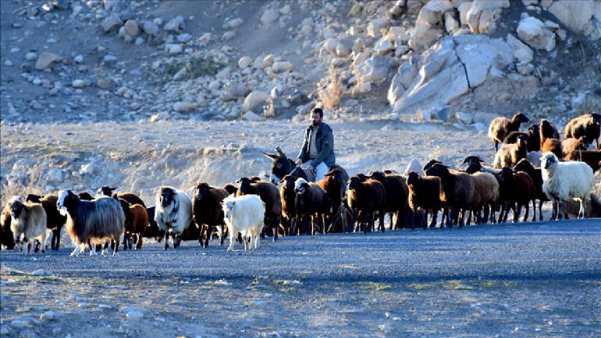 2.600 rakımda 6 aylık macera… Göçerler dönüş yoluna geçti: 20 günlük yolculuk başladı!
