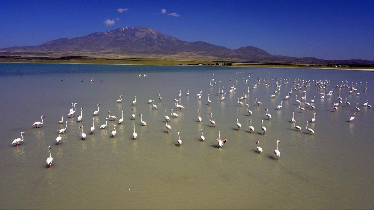 Kuşların en çok uğradığı yerdi… 5 yıl içinde kuruma tehlikesiyle karşı karşıya!