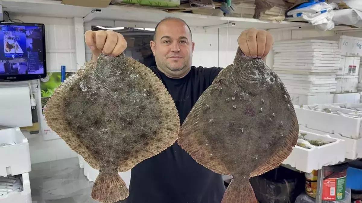 Hamsi bereketi diğer balıklara da yaradı! Tezgahlarda yok yok: Fiyatlarda memnun edecek