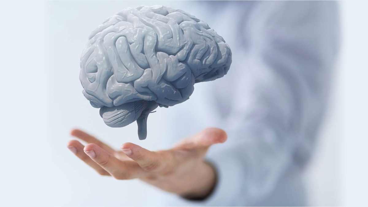 Bilimsel olarak kanıtlandı! Bu yöntemler beyin sağlığını koruyor: Yaşlansanız bile beyniniz genç kalıyor