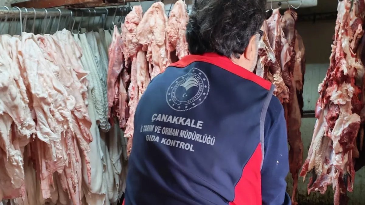 Alo Gıda Hattı’na gelen ihbarla baskın yaptılar! Tonlarca kaçak et ve sakatat ele geçirildi: İşletme mühürlendi