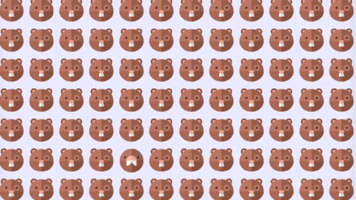 Sadece IQ'su en yüksek olanlar buluyor! 6 saniyede farklı olan kunduzu bulabilir misiniz?