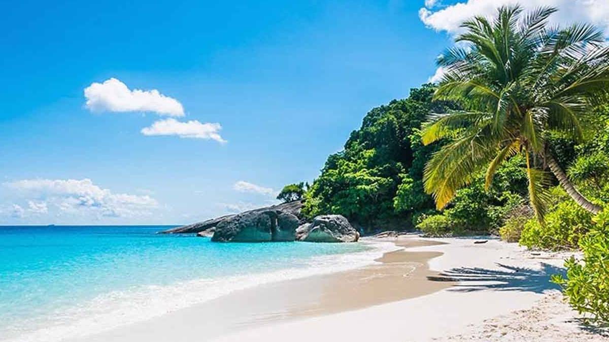 İklim değişikliği plajları tehdit ediyor: Yüzde 50’si yok olabilir