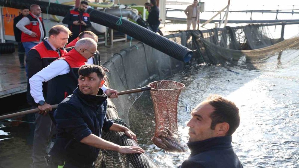 Bozkırın tam ortasında somon yetişiyor! Tüm dünyaya ihraç ediliyor: Yılda 1500 ton üretim yapılıyor