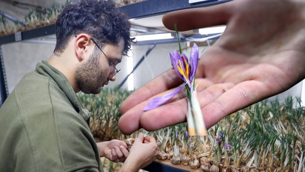 Deneme amaçlı kurdu, 14 metrekarelik tesis yaptı! 5 kilo satışa bir daire alınıyor: En pahalı baharatın sırrını paylaştı