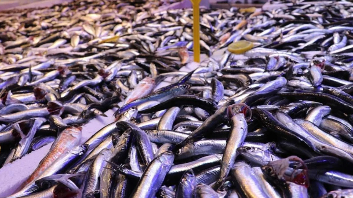 BM'den Karadeniz ve Akdeniz uyarısı: Alarm veriyor!