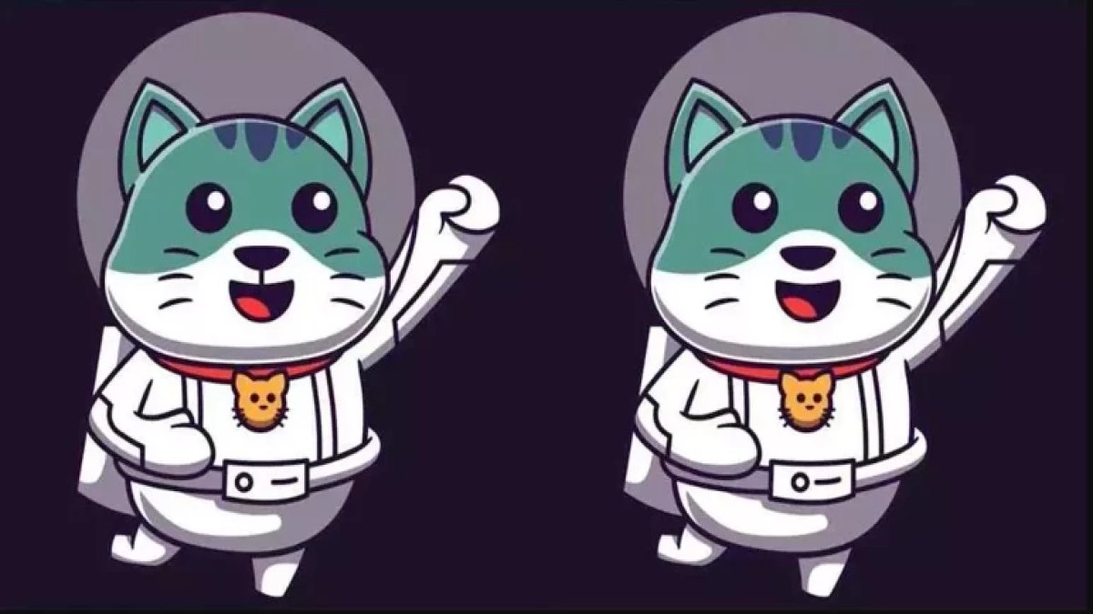 Uzayda zeka testi! Astronot kedinin resmindeki 3 farkı 12 saniyede bulanlar dahi ilan ediliyor