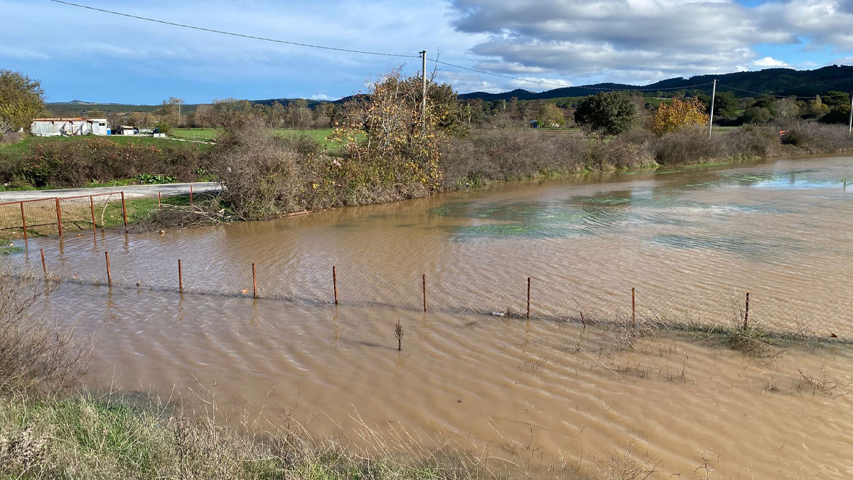 Ayvacık’ta şiddetli yağış taşkına yol açtı: Tarım arazisi sular altında kaldı