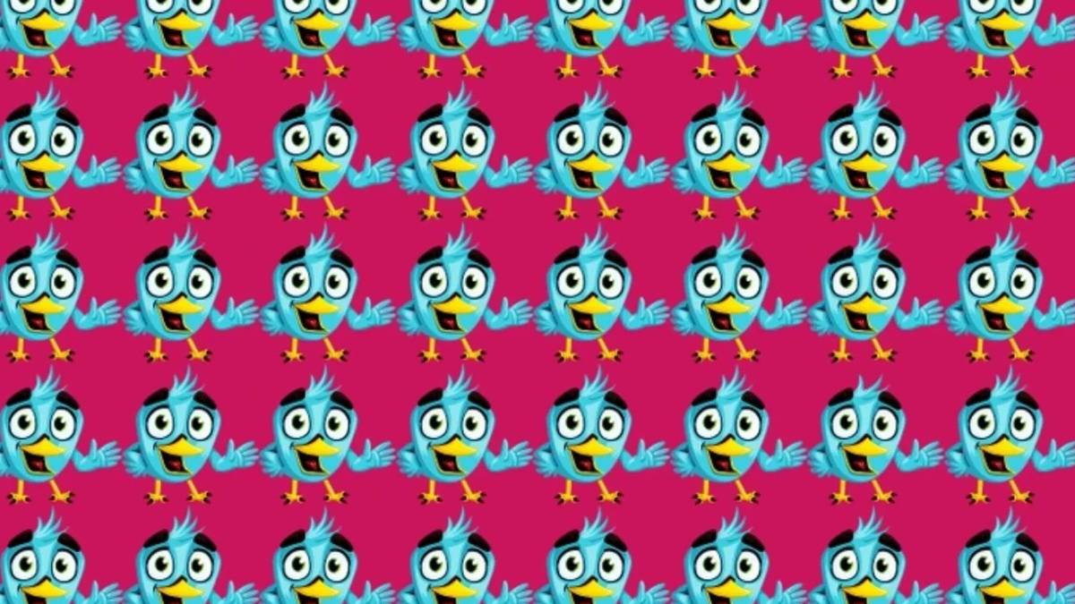 Dahi misiniz yoksa sıradan mı? 6 saniyede farklı kuşu bulanlar gerçek zekiyi gösterir