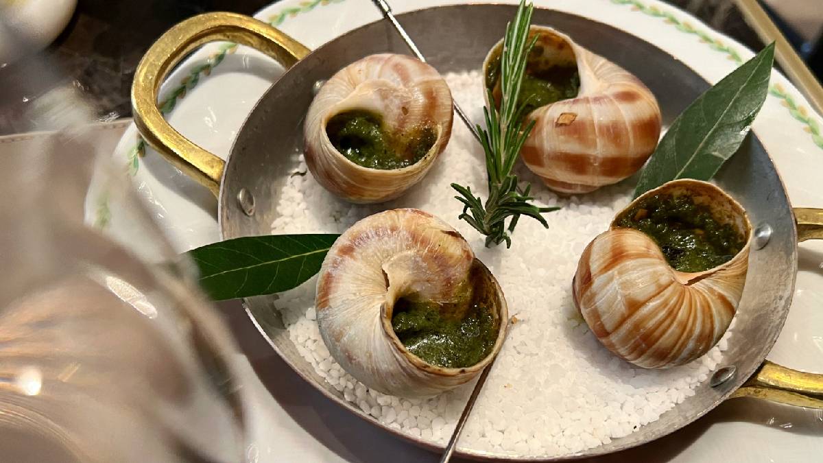 Fransa’da salyangoz hırsızlığı: 100 bin dolarlık kayıp