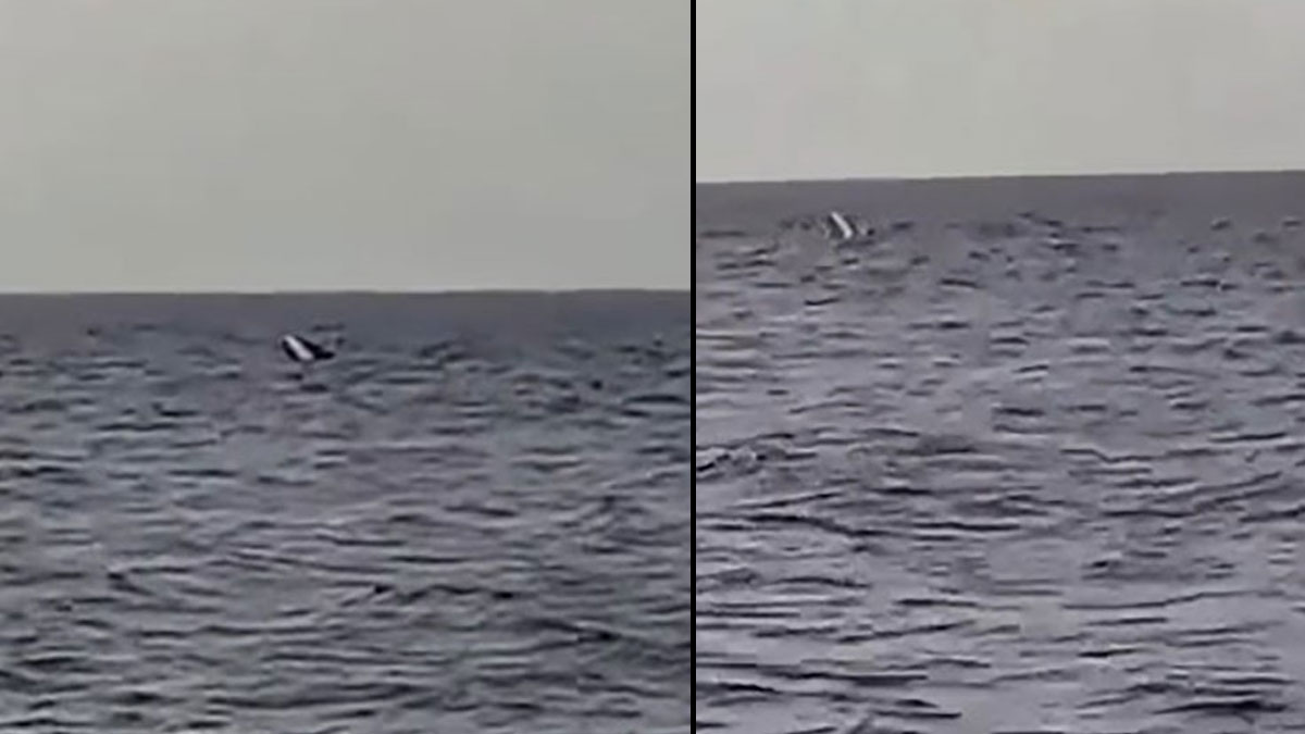 Kocaeli’de tekne alabora oldu: 1 balıkçı aranıyor