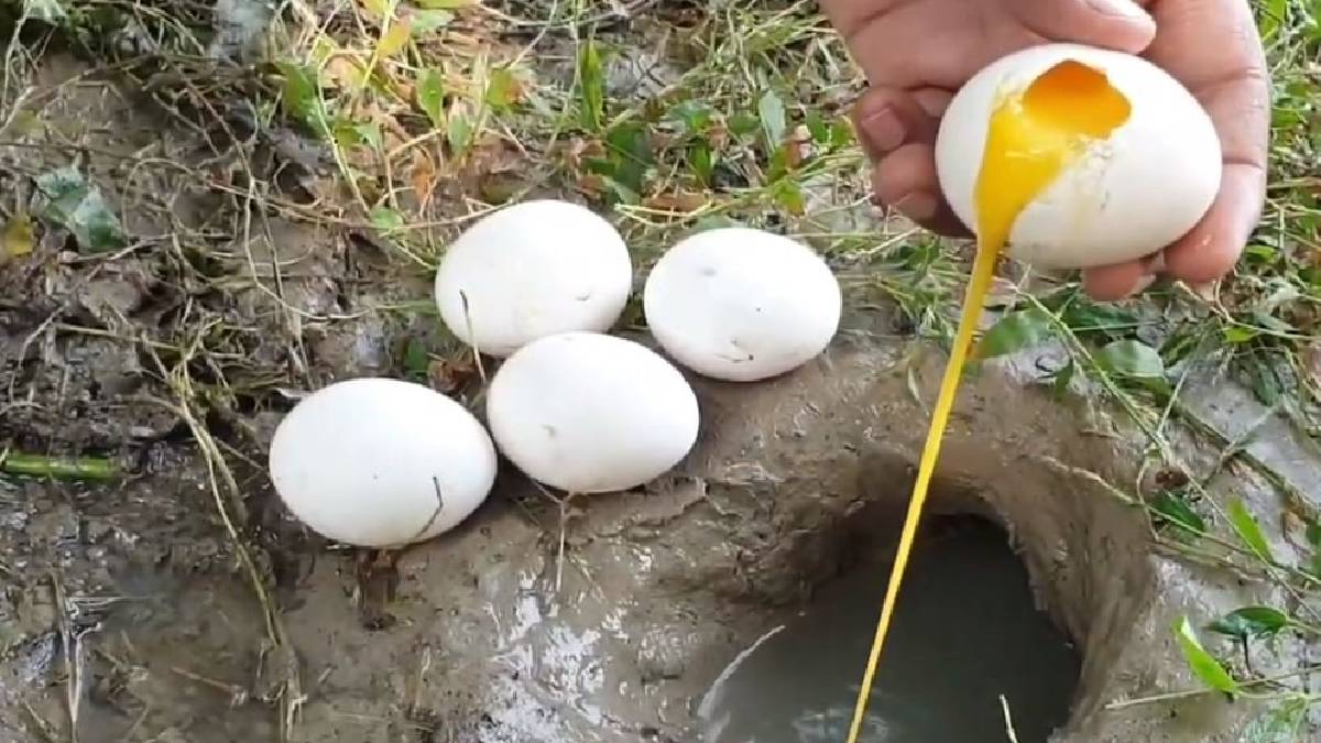 Suya yumurta kırdı etrafı doldu taştı! Kimse balık tutmanın bu kadar basit olduğunu düşünmemişti…