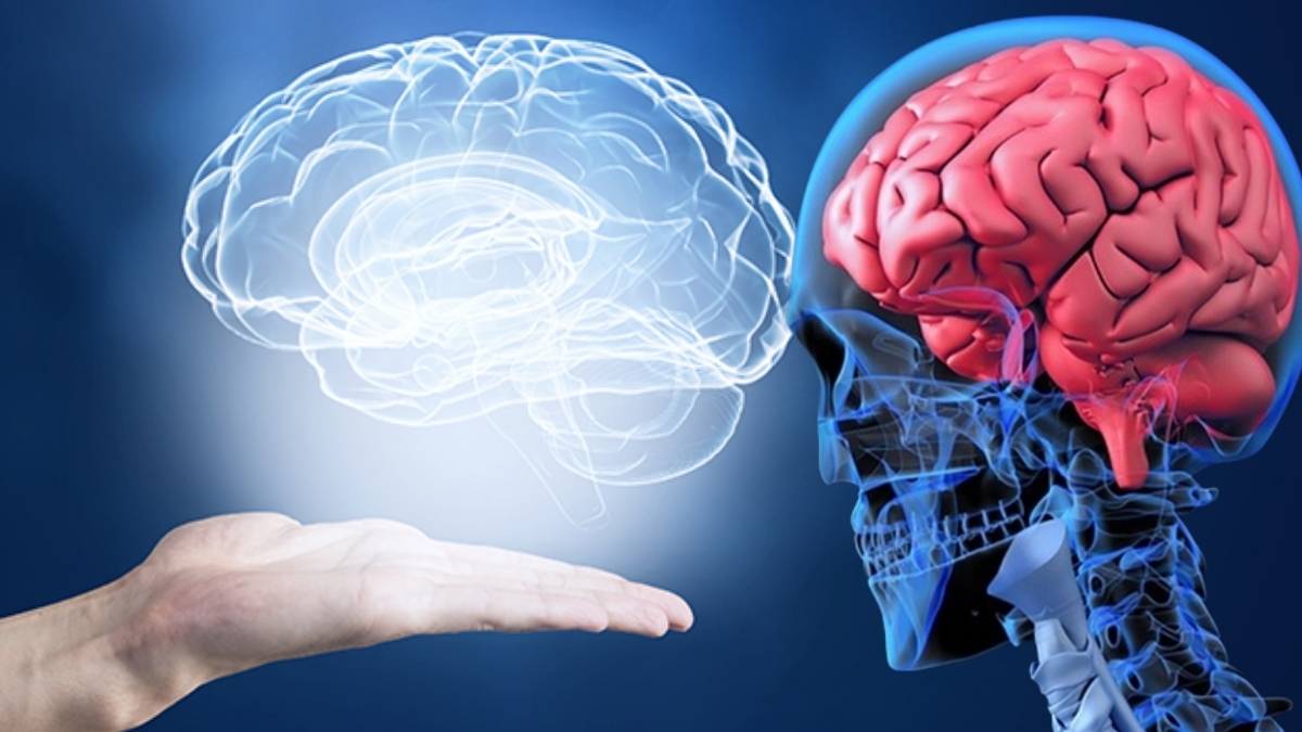 Bilimsel araştırmalar ortaya koydu! Beyin 32 yaşına kadar ergenlik geçiriyor: İşte beynin geçirdiği 5 evre