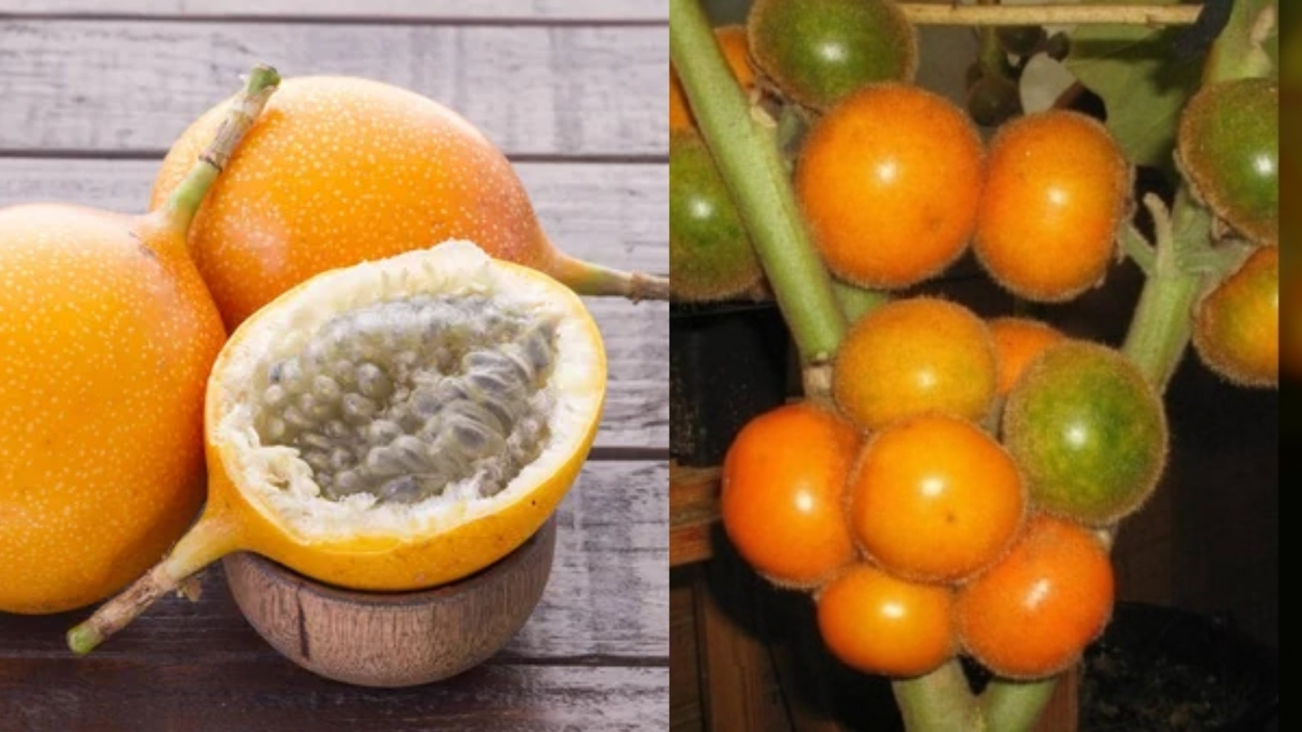 Lezzetiyle dikkat çekiyor, “yerel hazine” olarak görülüyor! Ülke dışına çıkarılmıyor: Tatmak için sıraya giriyorlar