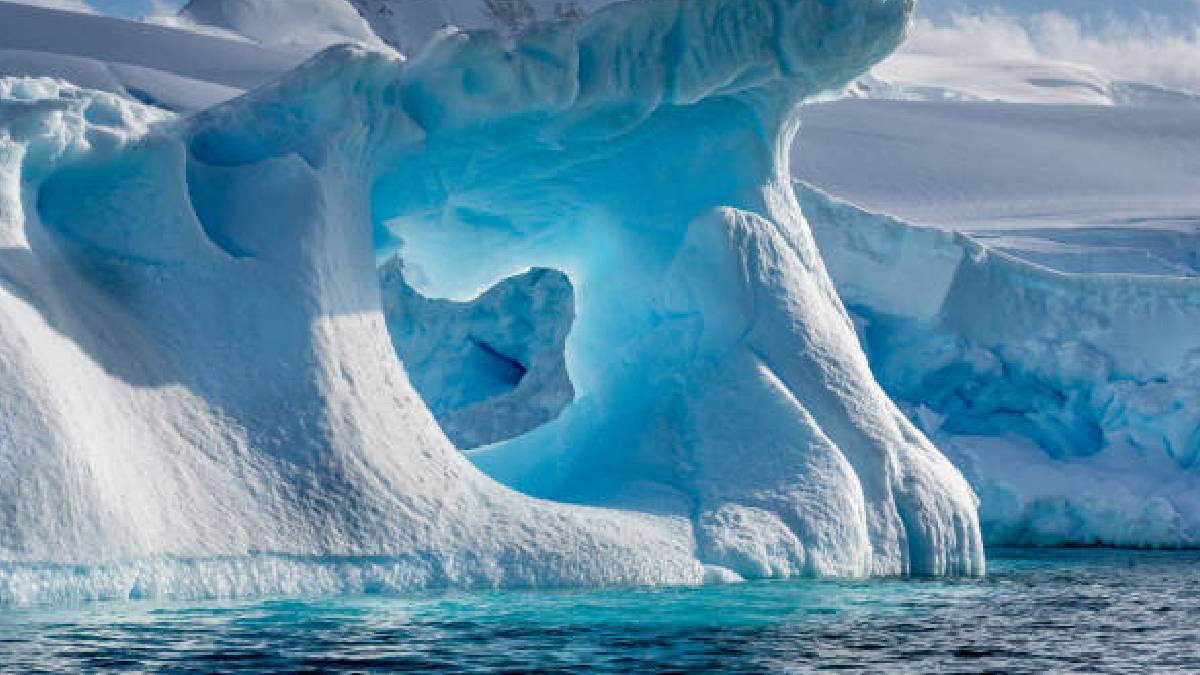 Keşif yolculuğunda beklenmedik son: 100 yıllık batan gemiyi ararken balık şehrini buldular