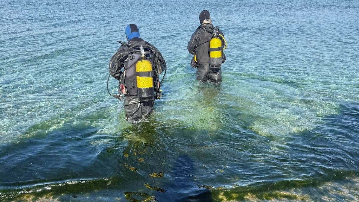 Marmara Denizi’nin ekolojik yapısı mercek altında