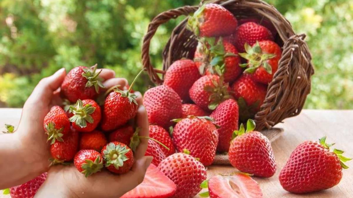 Her gün çilek yersek ne olur? İşte her gün çilek yemenin vücutta oluşturduğu etkiler