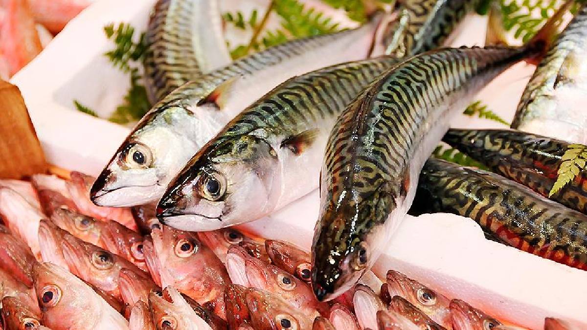 Aralık ayının balığı hangisi? “En sağlıklısı” denerek öneriliyor: Bu ay sık sık tüketin!