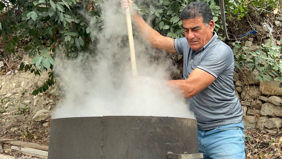 Ormanda kendiliğinden yetişiyor, sabun, krem, kozmetikte kullanılıyor! Üretim başladı: Litresi 1000 TL’den alıcı buluyor