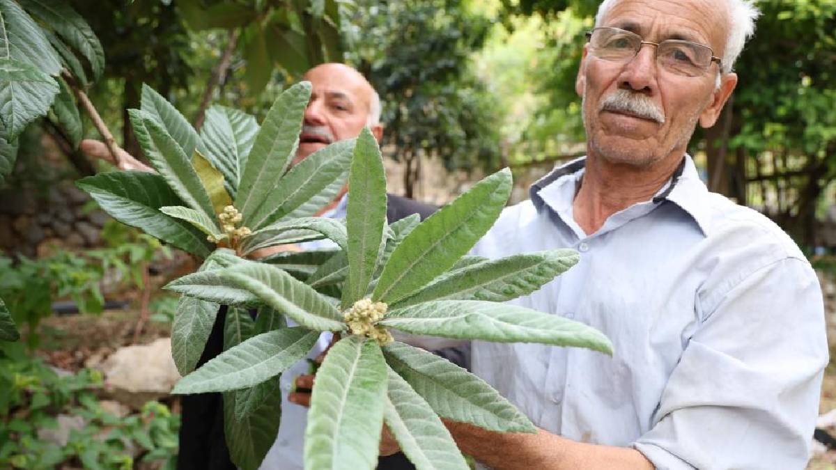 Diyarbakır’ın “Ne ekersen onu biçersin köyü”! İster Akdeniz, ister Karadeniz… Bu köyde her şey yetişiyor