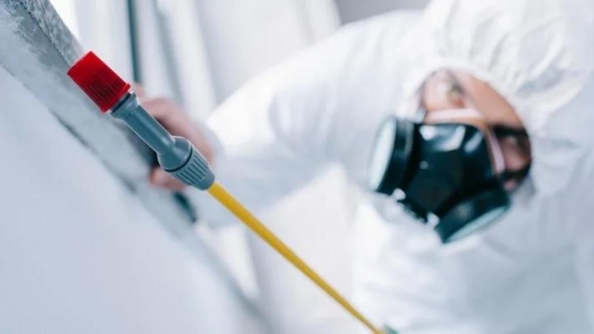 Eczacılar Birliği'nden zehirlenmelere tepki: Halk sağlığı tesadüflere bırakılamaz