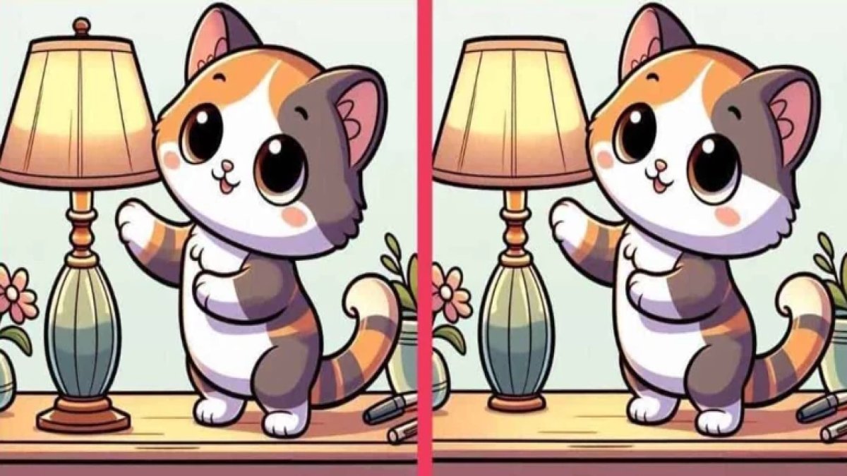 Yüksek IQ testi! Lambaya uzanan yavru kedi resmindeki 3 farkı 15 saniyede bulabilir misiniz?