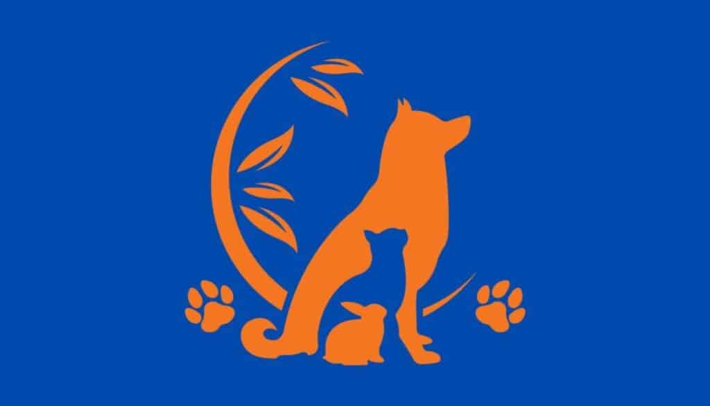 Daha çok usta bir doğaçlamacı mısınız yoksa doğuştan planlayıcı mısınız? Bu kişilik testiyle gerçek doğanızı keşfedin!