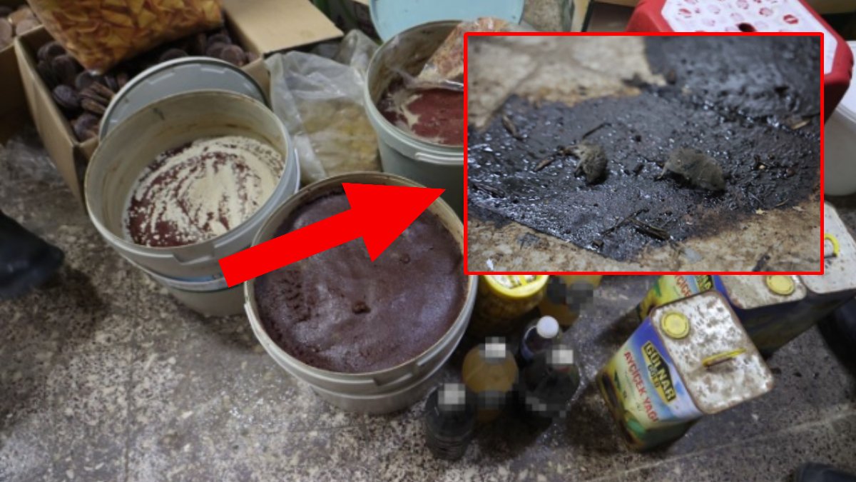 Akıl almaz hijyensizlik kameralarda! Gıda işletmesinde ölü fareler çıktı