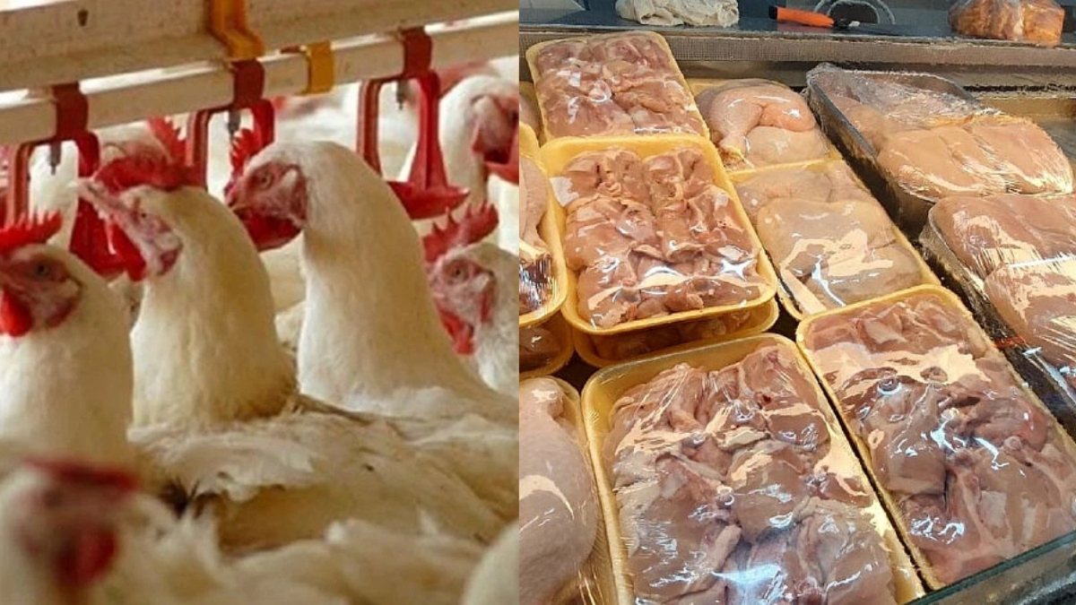 Ekonomik krizi etkisini artırıyor! Dev tavuk markası iflasın eşiğinde: 3 ay süre verildi