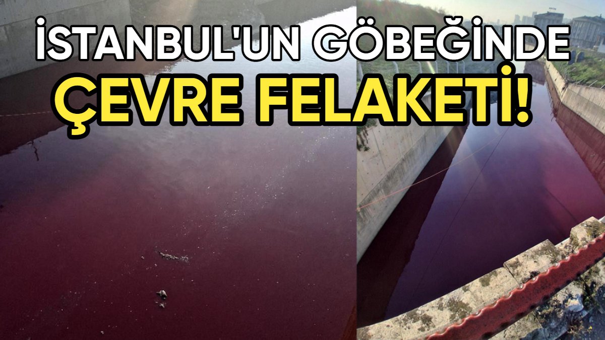 İstanbul'da çevre felaketi! Derenin rengi kırmızıya döndü: Atık su iddiası gözler önüne serildi