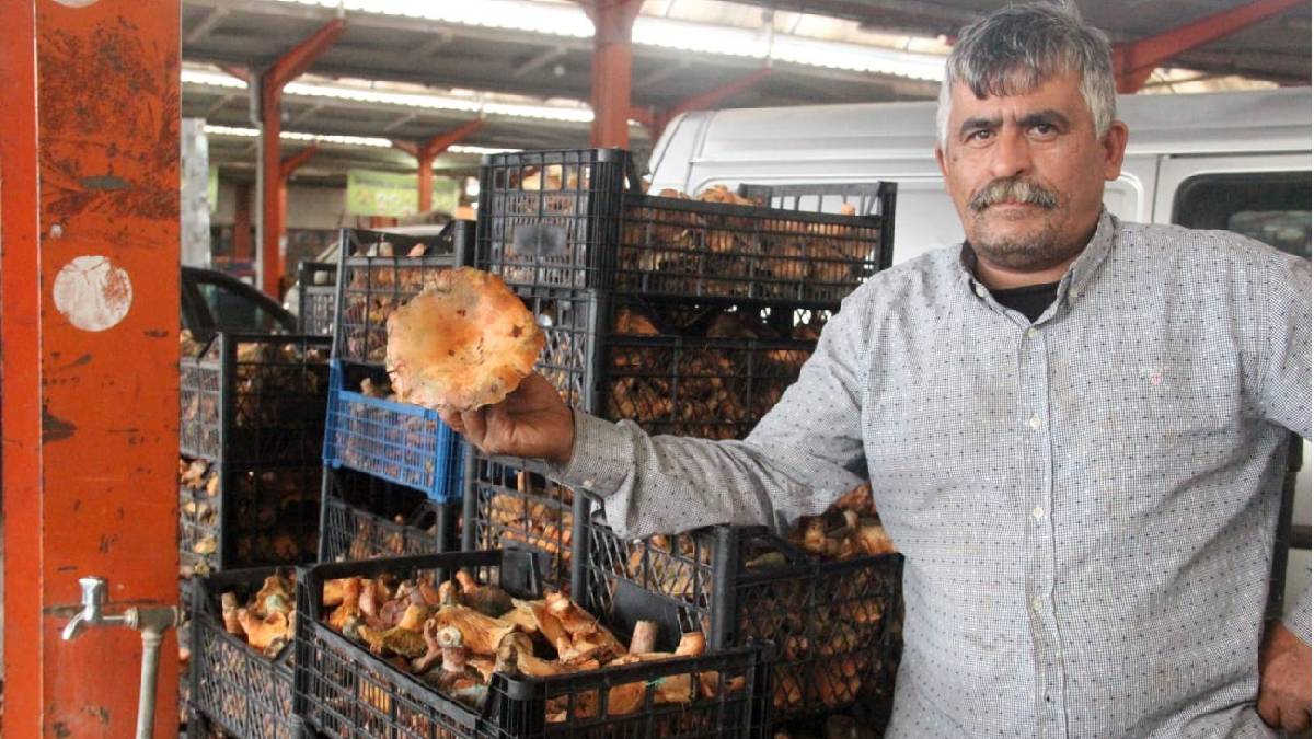 Satıcıya kazanç, tüketiciye lezzet katıyor! Bölge halkının gözbebeği: Kilosu 100 TL’den pazarda kapış kapış satılıyor
