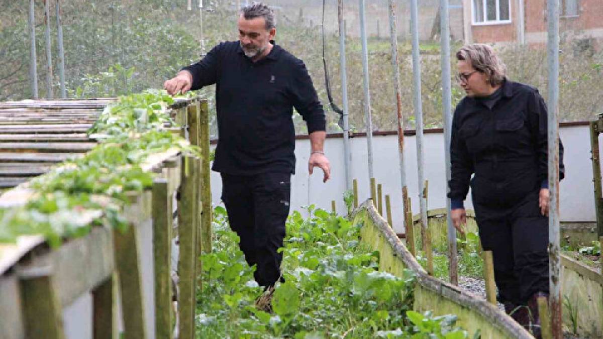 Trabzon’da üretiyor, dünya pazarında yok satıyor! İhracat potansiyeli hızla artıyor: 3 bin Euro’ya kapış kapış alıyorlar