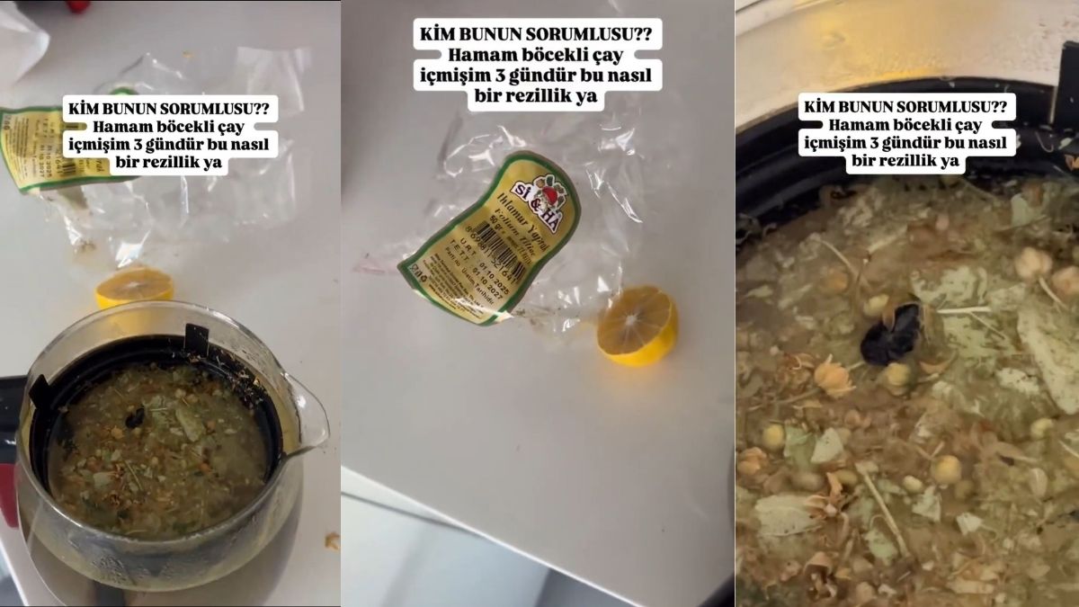 Market zincirinden aldı bin pişman oldu! Ihlamurun içi hamam böceği kaynıyor: “Ben bunu 3 gün içtim"