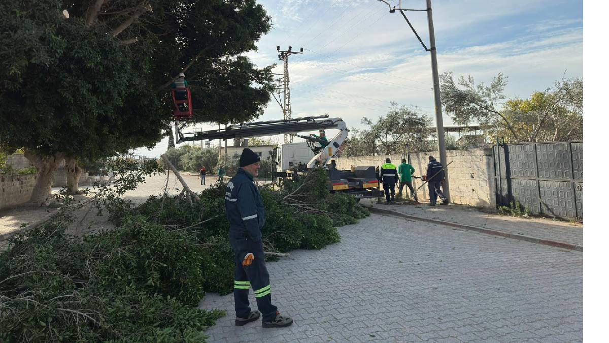 Zeytinbeli’nde yoğun çalışma temposu