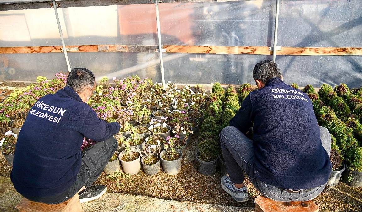 Giresun Belediyesinden bir ilk daha! Park ve Bahçeler Müdürlüğü serayı çocuklara açıyor