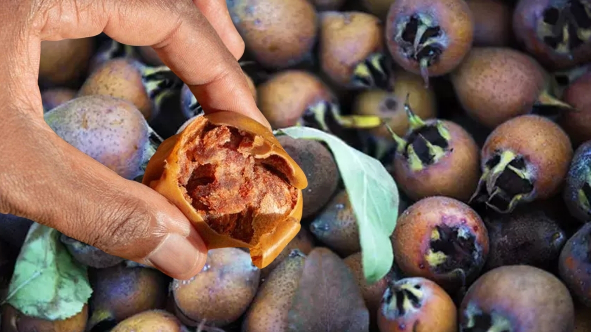 Tadı yumuşayınca ortaya çıkıyor, “hileci meyve” olarak biliniyor! Vitamin deposu olarak satılıyor: Kilosu 150 lira