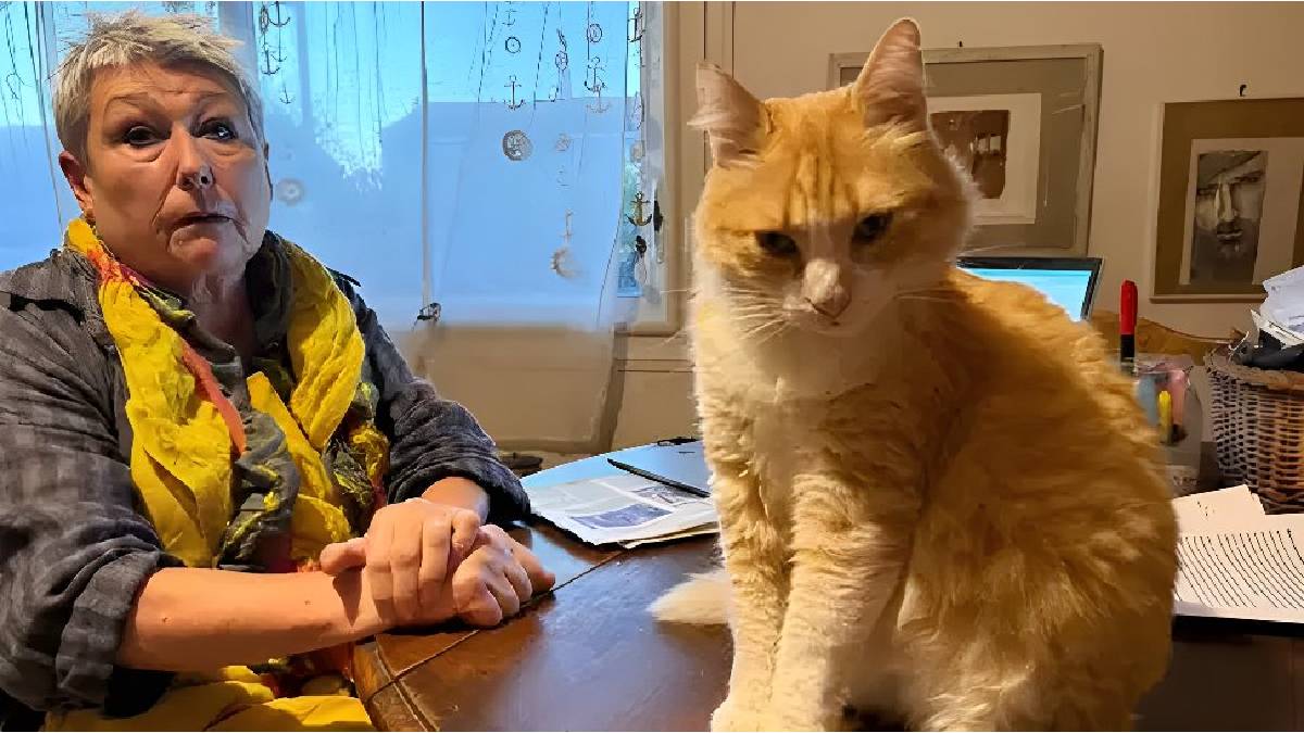 Kedisi komşunun bahçesine pisledi, ikisi de ceza yedi! Birine para birine ev hapsi: Karar tartışma yarattı