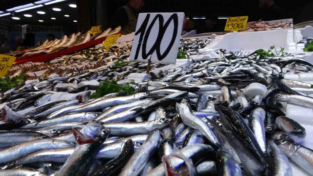 Herkes hamsi yiyebilecek! Kilosu 50 TL'ye kadar düşmüştü, şimdi ise 100 TL: Karadeniz en verimli sezonunu yaşıyor