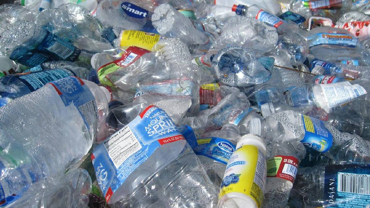 Her yıl bir tabak plastik yiyoruz: Mikroplastiklerin beyne 5 büyük zararı