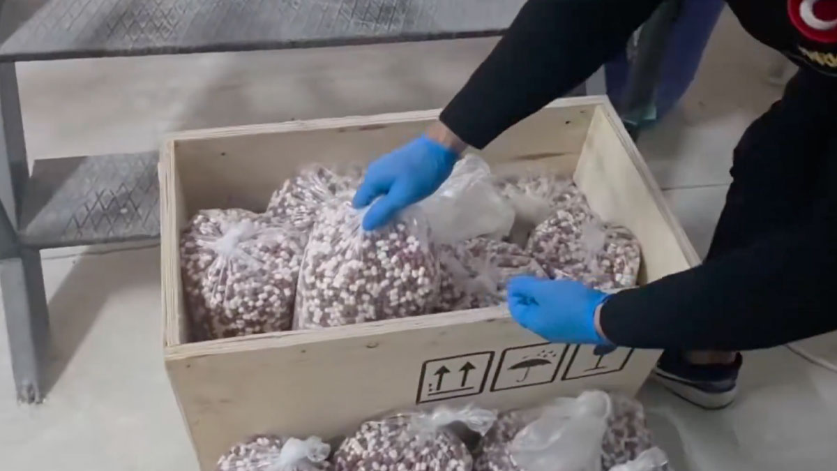 Yerlikaya açıkladı: 72 ilde 970 zehir taciri yakalandı